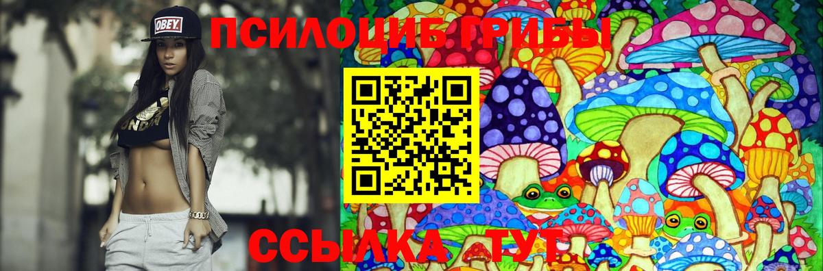 Галлюциногенные грибы Cubensis Калининград